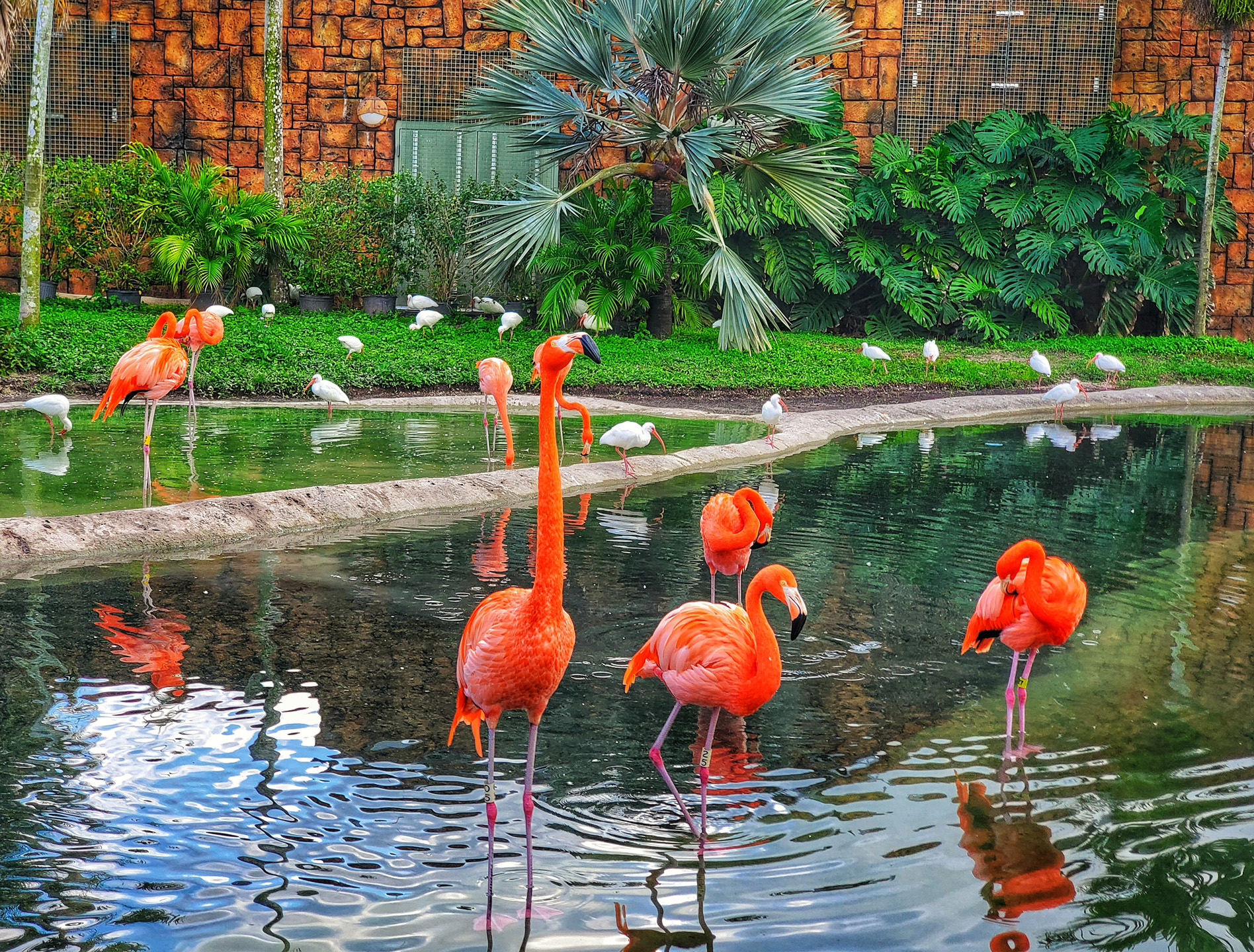 Zoo Miami - The Miami-Dade Zoological Park and Gardens